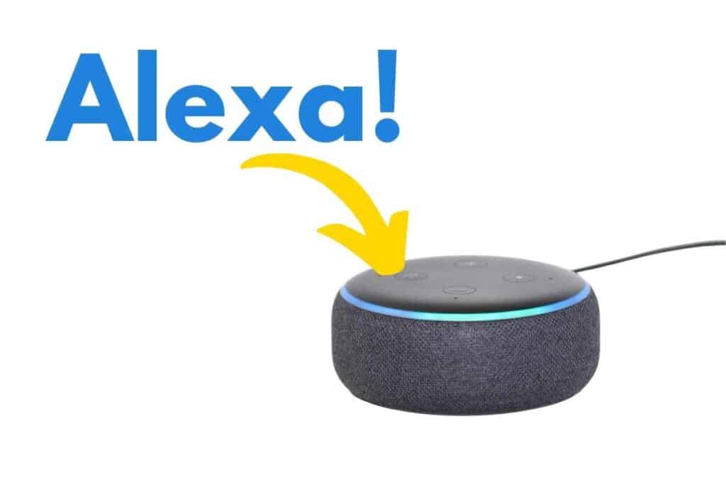 How does alexa music hot sale work