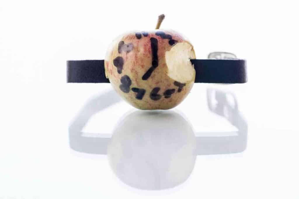 Can Apple Watch Track Calories 1 Can Apple Watch Track Calories?