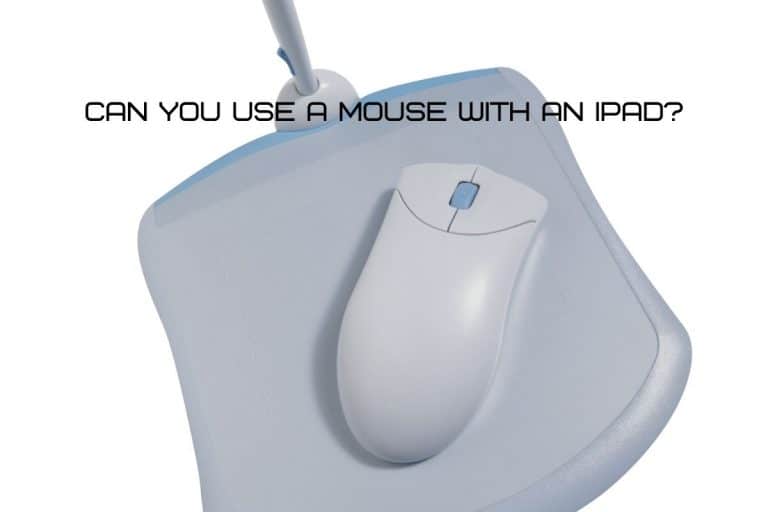 Can You Use a Mouse with an iPad?