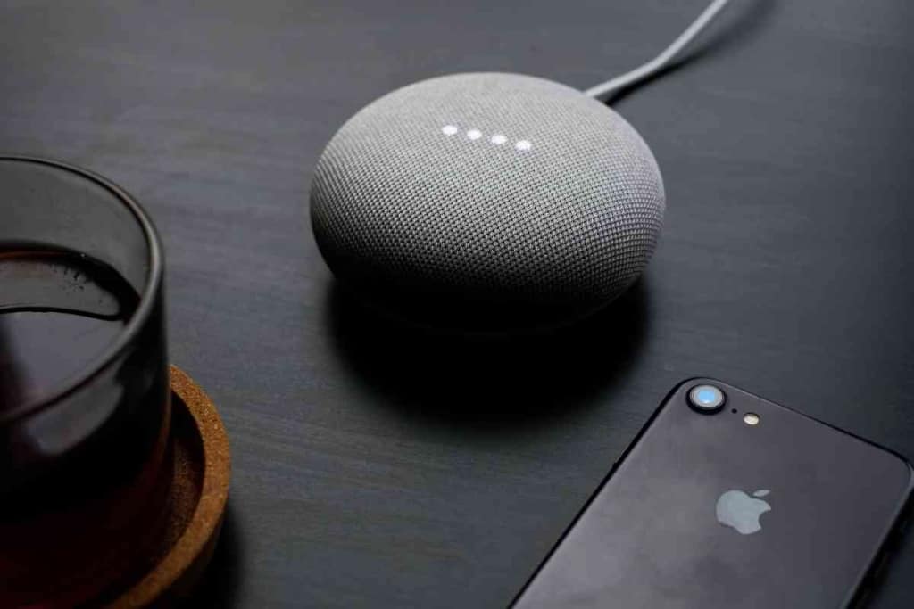 Google home hot sale blink