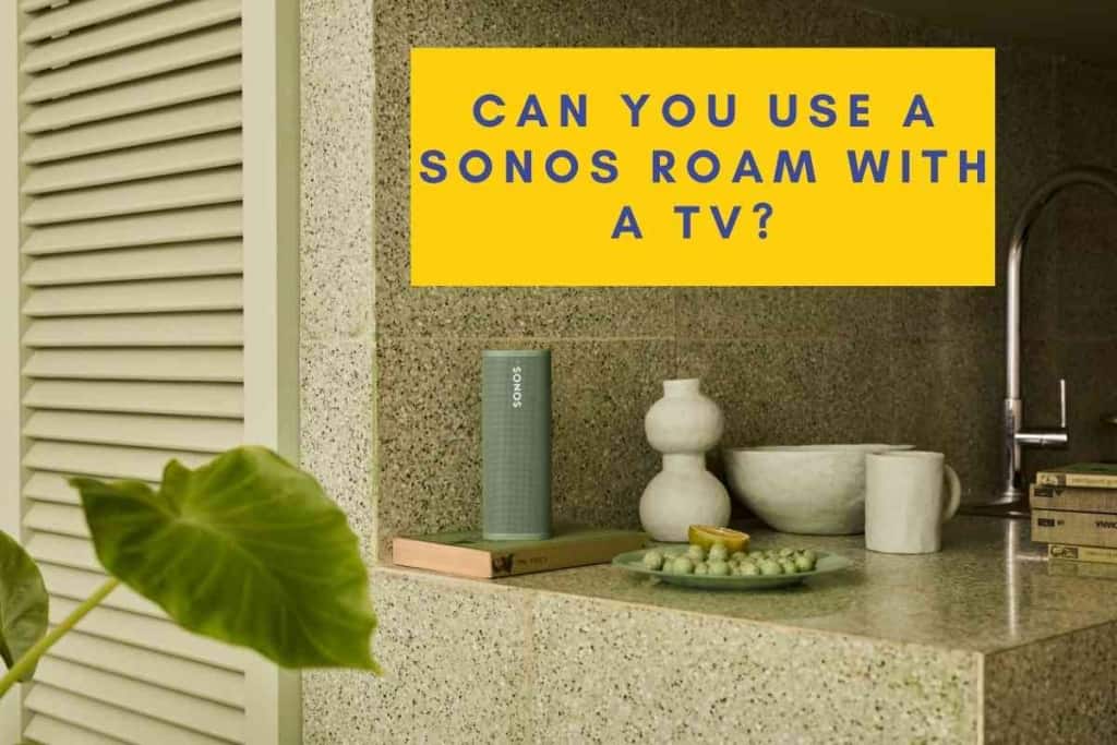 Can You Use A Sonos Roam With A TV 1 1 Can You Use A Sonos Roam With A TV? A How-To Guide