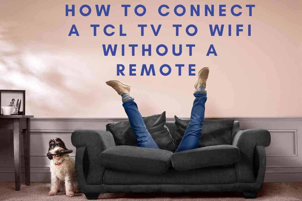 4 Steps To Connect A TCL TV To Wifi Without A Remote - The Gadget Buyer