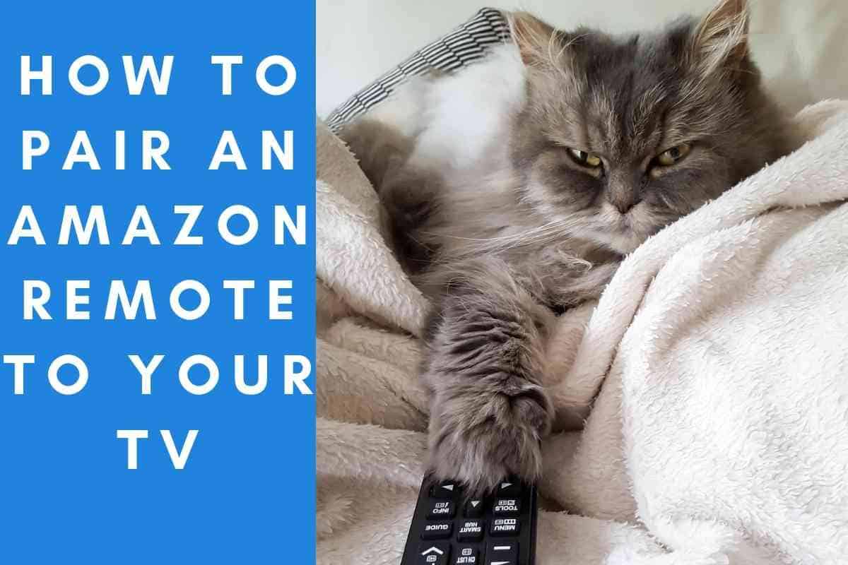 How To Pair An Amazon Remote To Your TV: A 3 Step Guide - The Gadget - How Do You Pair A Phone To A Tv