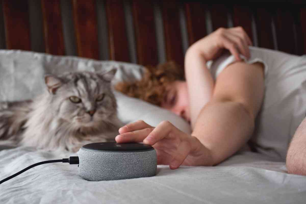 Why Does Alexa Keep Cutting Out Solved The Gadget Buyer Tech Advice
