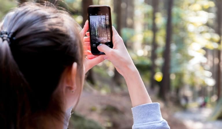 A young brunette in a forest