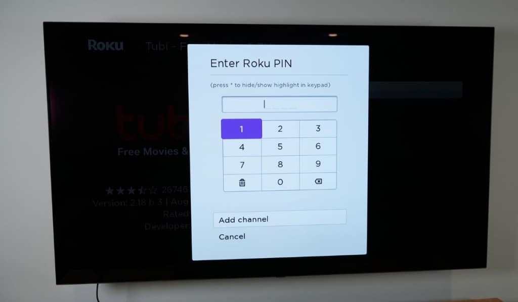 Roku Pin on the screen