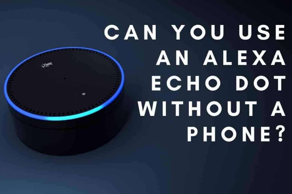 Can i use the echo dot without hot sale alexa