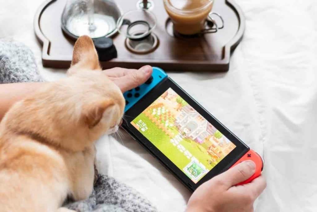 Can You Charge A Nintendo Switch With A Phone Charger? - The Gadget Buyer |  Tech Advice